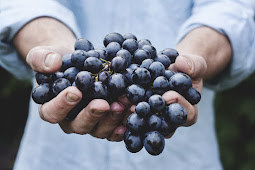 Manfaat dan khasiat buah Anggur untuk kesehatan.
