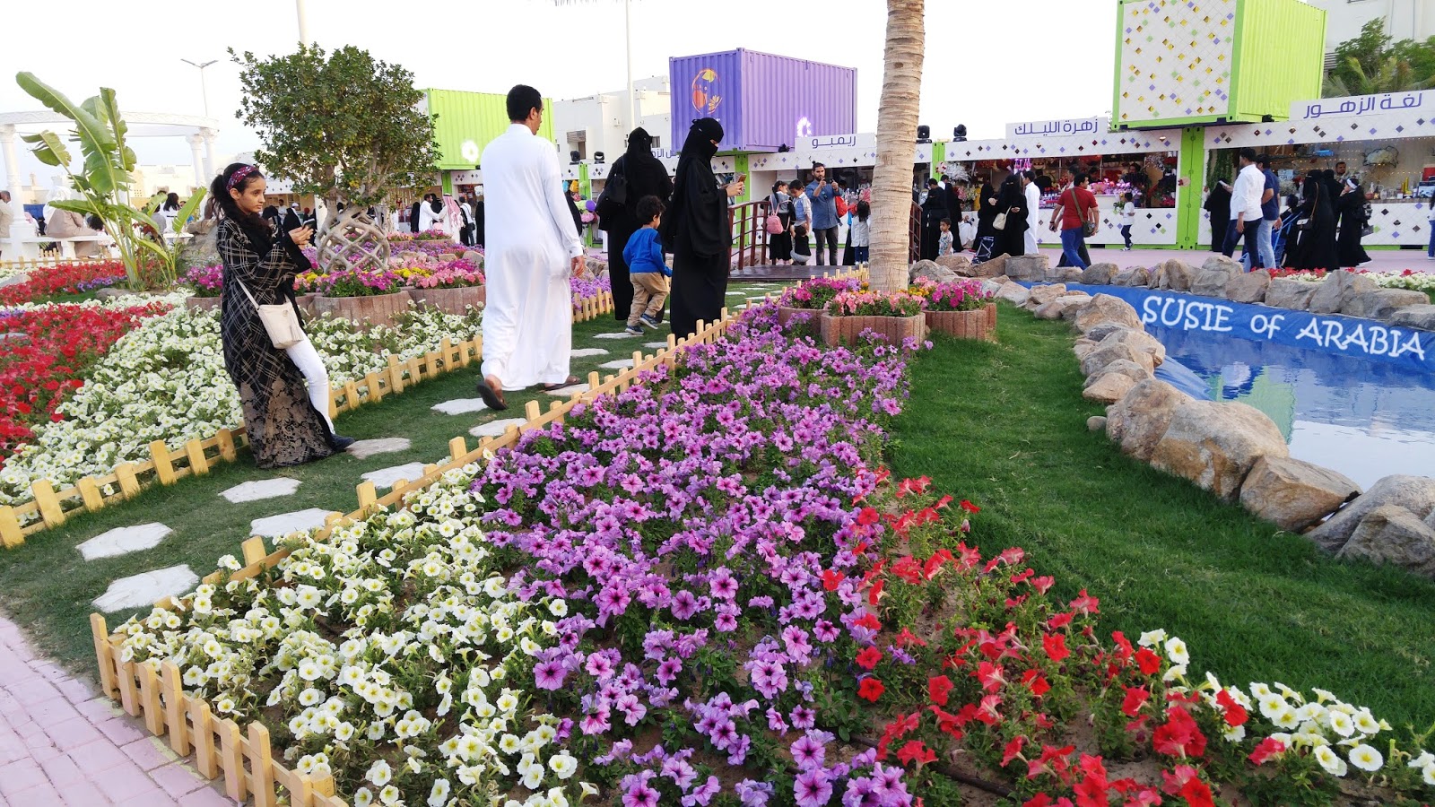Jeddah Daily Photo Saudi Arabia Yanbu Flower Festival