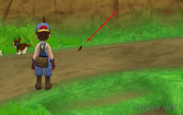 11 Lokasi Power Berry Di Game Harvest Moon Hero Of Leaf Valley Spezer Net