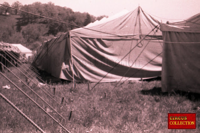 Tentes écuries dans la ménagerie du Cirque Franz Althoff 1967