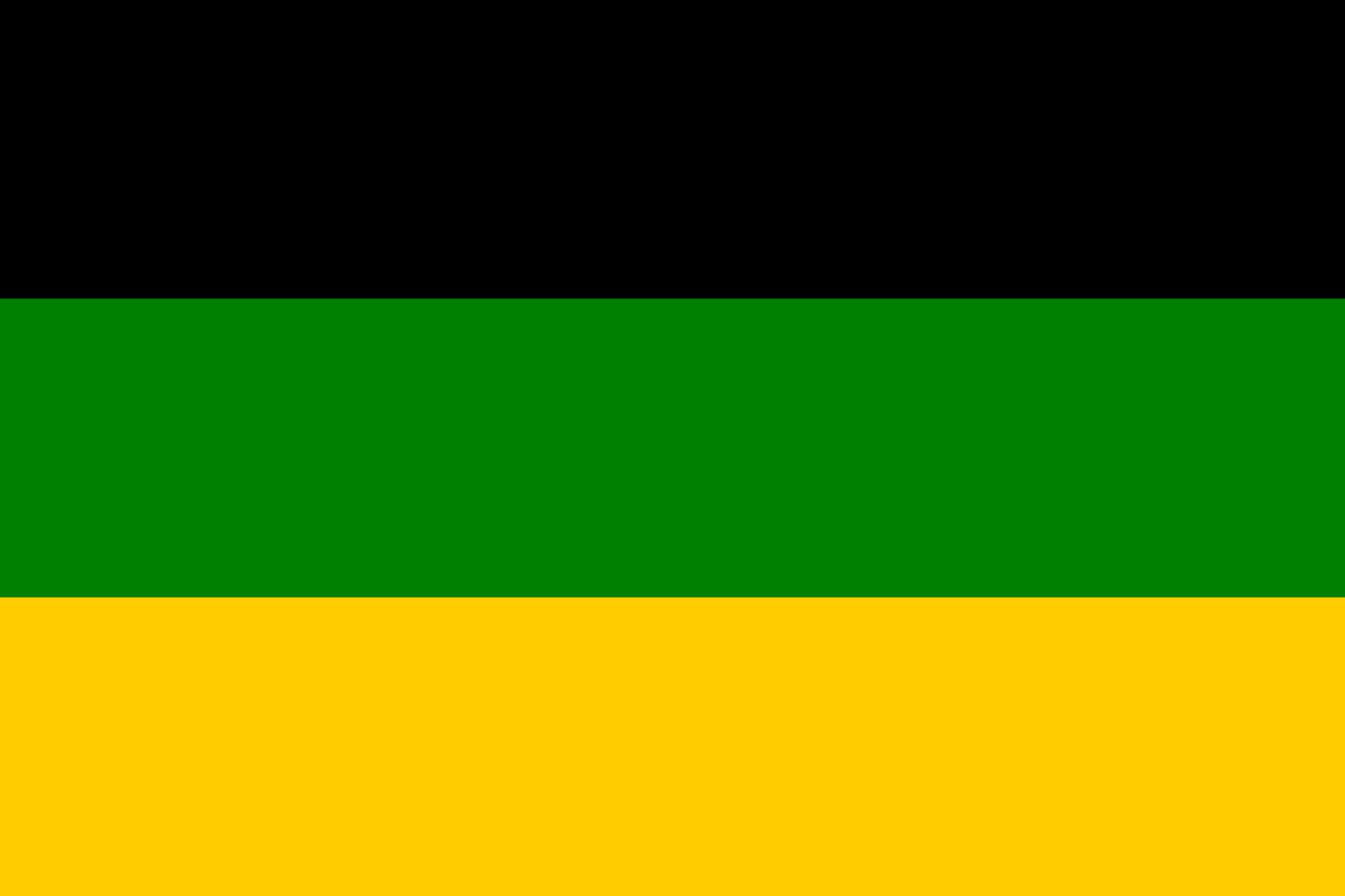2000px-African_National_Congress_Flag.svg.png