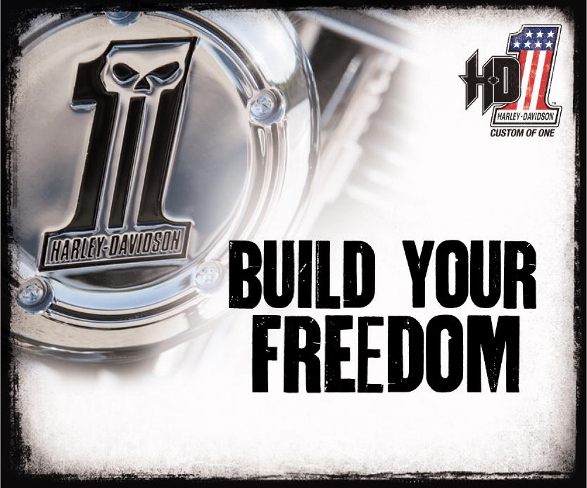harley davidson blackline custom