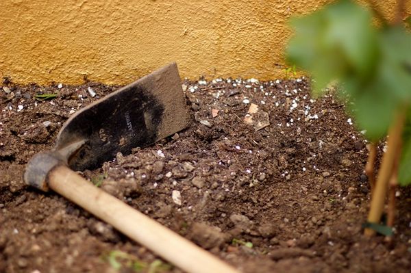 berkebun berkebun