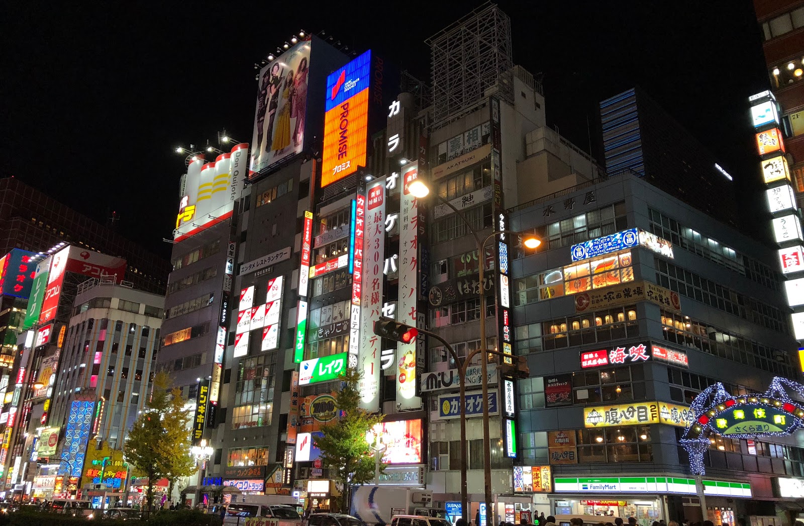 Shinjuku and Shibuya at Night