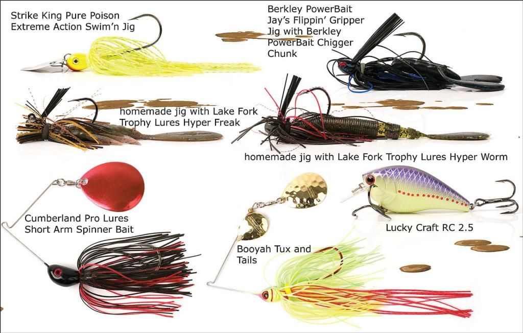 Muddy Water Bass Fishing Lures 5 Bass Fishing Baits For Shallow Cold