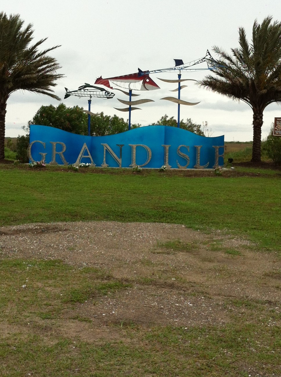 Brorgeron Adventures: A Trip to the Edge of the World to Welcome the Birds