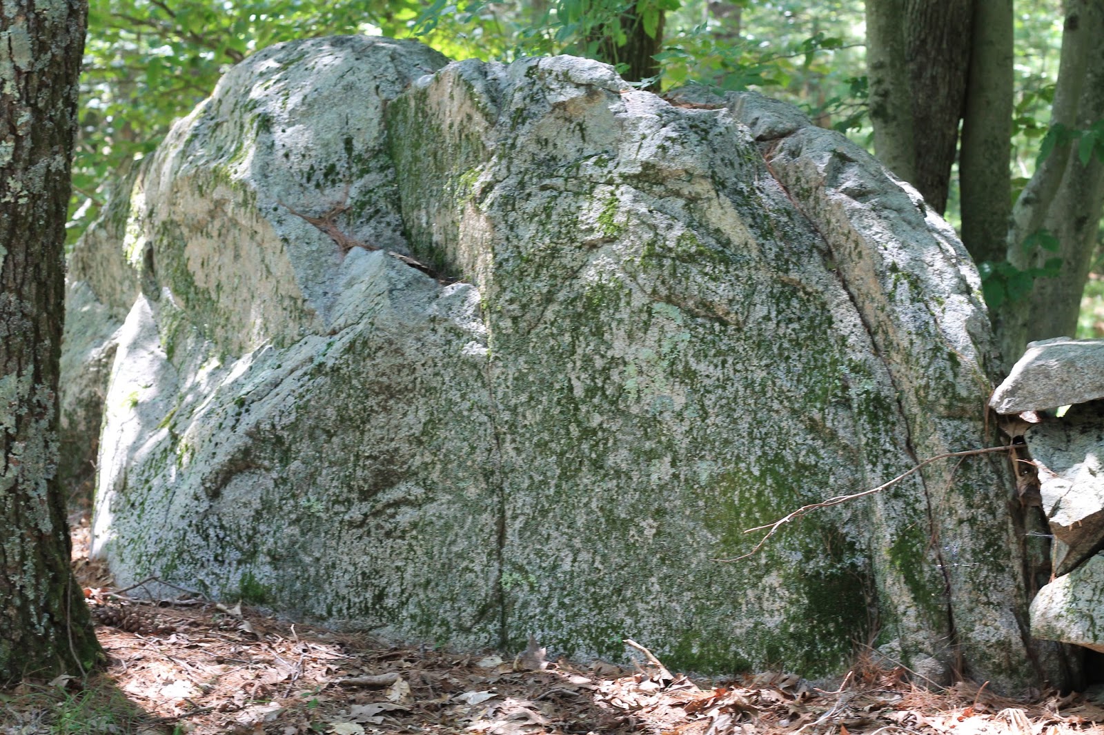 Bay Circuits Bay Circuit Trail Medfield MA The Shattuck Reservation.