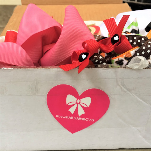 Bargain Bows Subscription Box Lizzandco_
