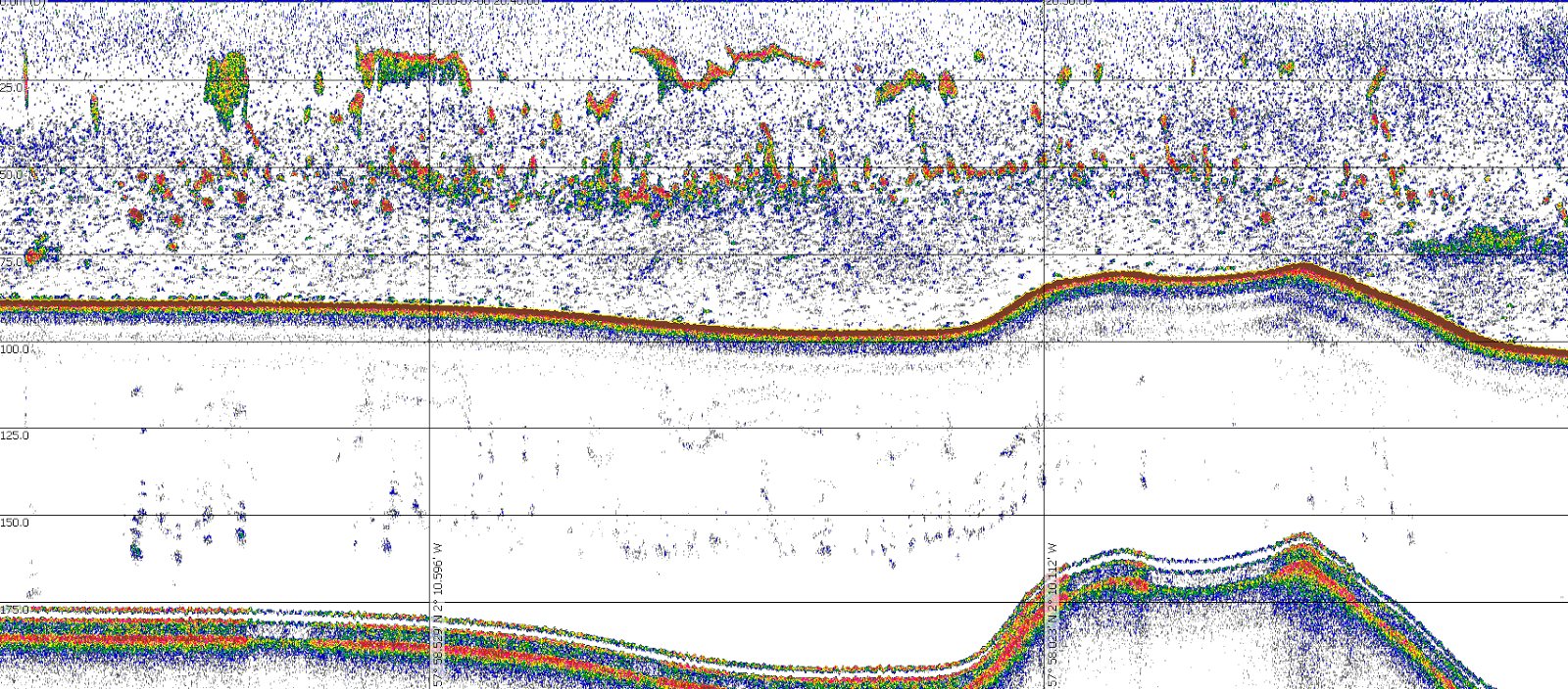 Herring Acoustic Survey otolith pictures