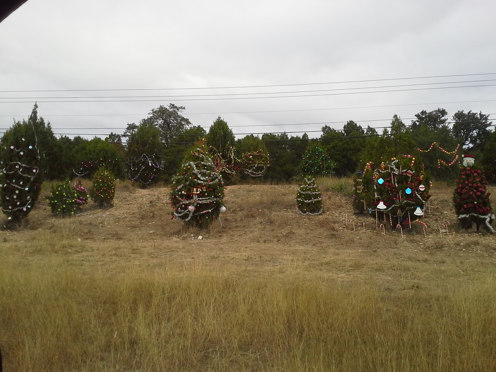 Unexpectedly Expecting Baby Christmas in Austin Decorating a
