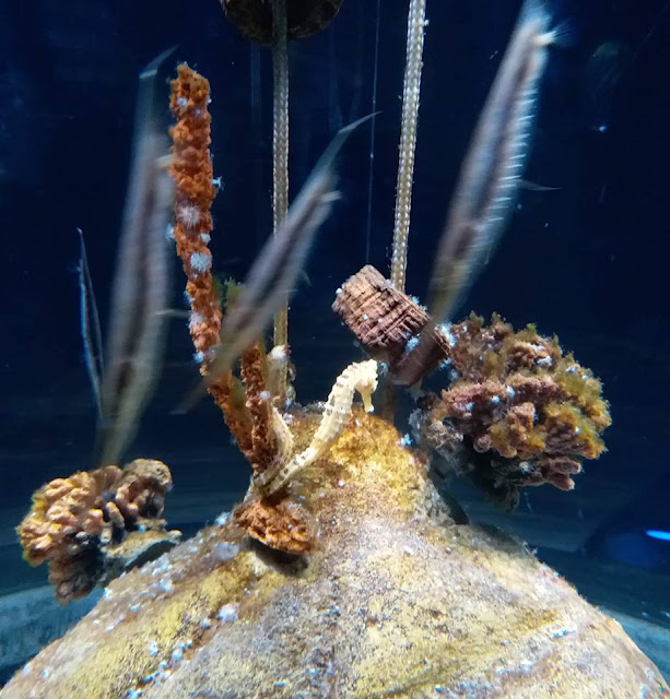 browse latest rssing com