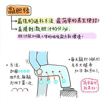敲膽經瘦大腿 什麼是膽經?膽經是一條從頭到腳的經絡,其中大腿外側是最容易被寒氣侵入的部位哦~也是膽經最容易積存寒氣的部位~膽經如果長時間累積寒氣,就會造成這個部位的經絡不通暢,膽的機能也難以正常運作~而且脂肪也會在臀部和大腿外側不斷累積哦!超簡單瘦大腿招術:敲膽經