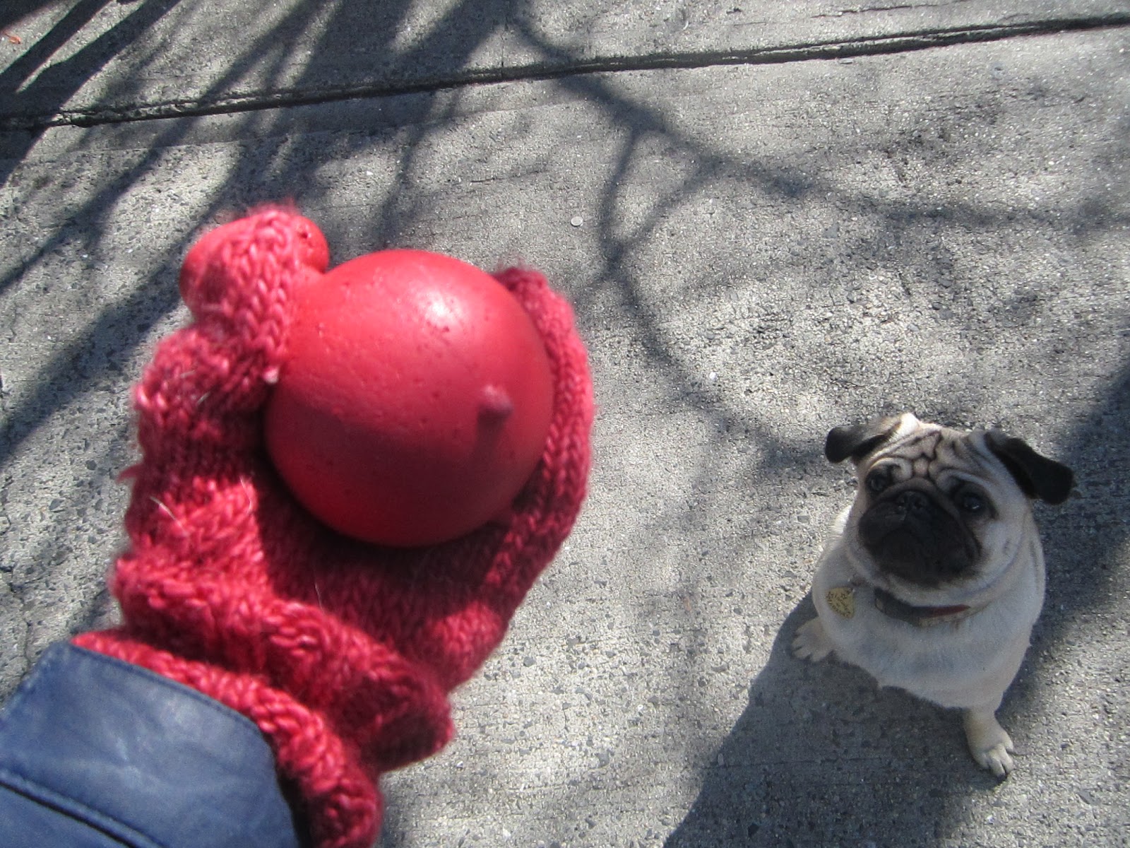 Urban Hounds: Super Easy Magic Loop Mittens