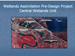 Wetlands Project