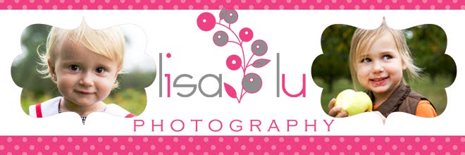 LisaLu Blog