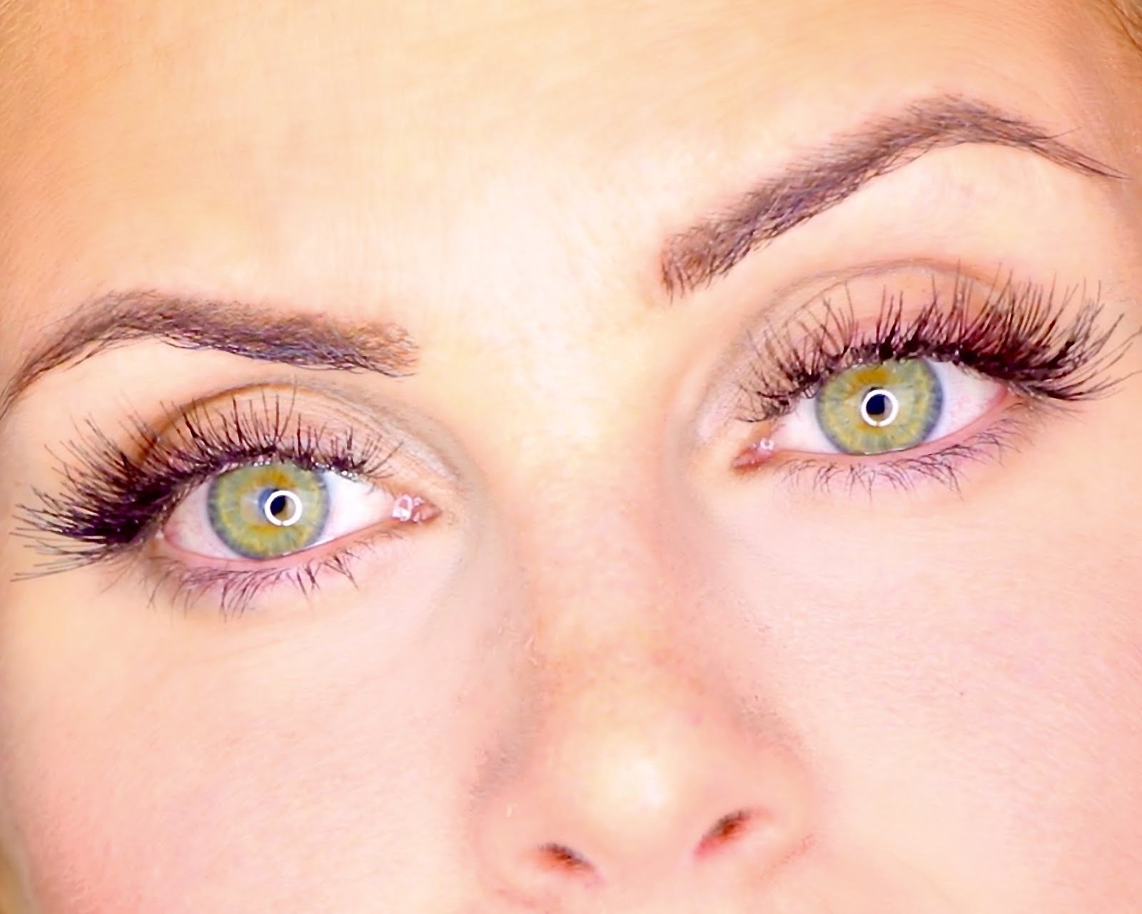 Diy Eyelash Extensions Kit Ardell : Video Diy 10 Lash Extensions At