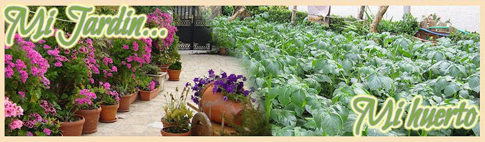 Mi Jardin ...y mi Huerto