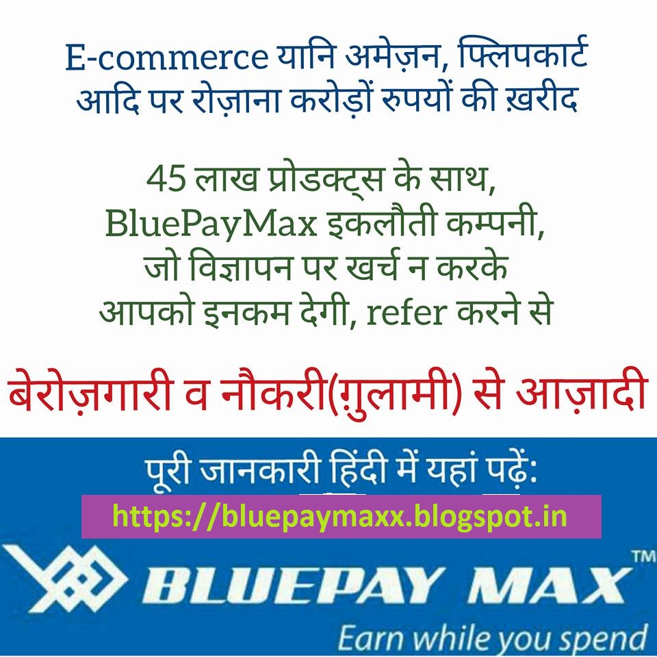Bluepaymax business plan 08 image