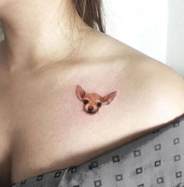 Chihuahua Tattoo