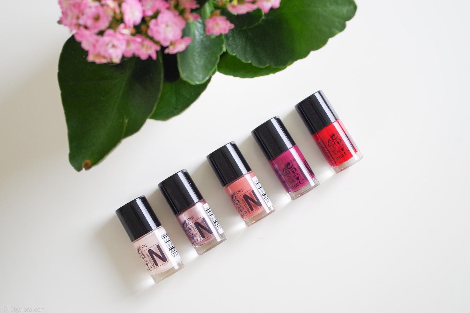 Cien Nail Polish (Lidl)