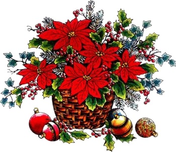 Stella Di Natale A Punto Croce.Professione Donna Speciale Natale Quadretto Con Stella Di Natale A Punto Croce