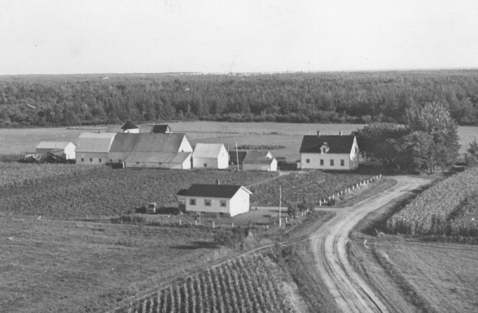 P.E.I. Heritage Buildings Arsenault Barns, AbramVillage