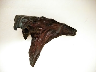 ブラシで清掃した後の流木