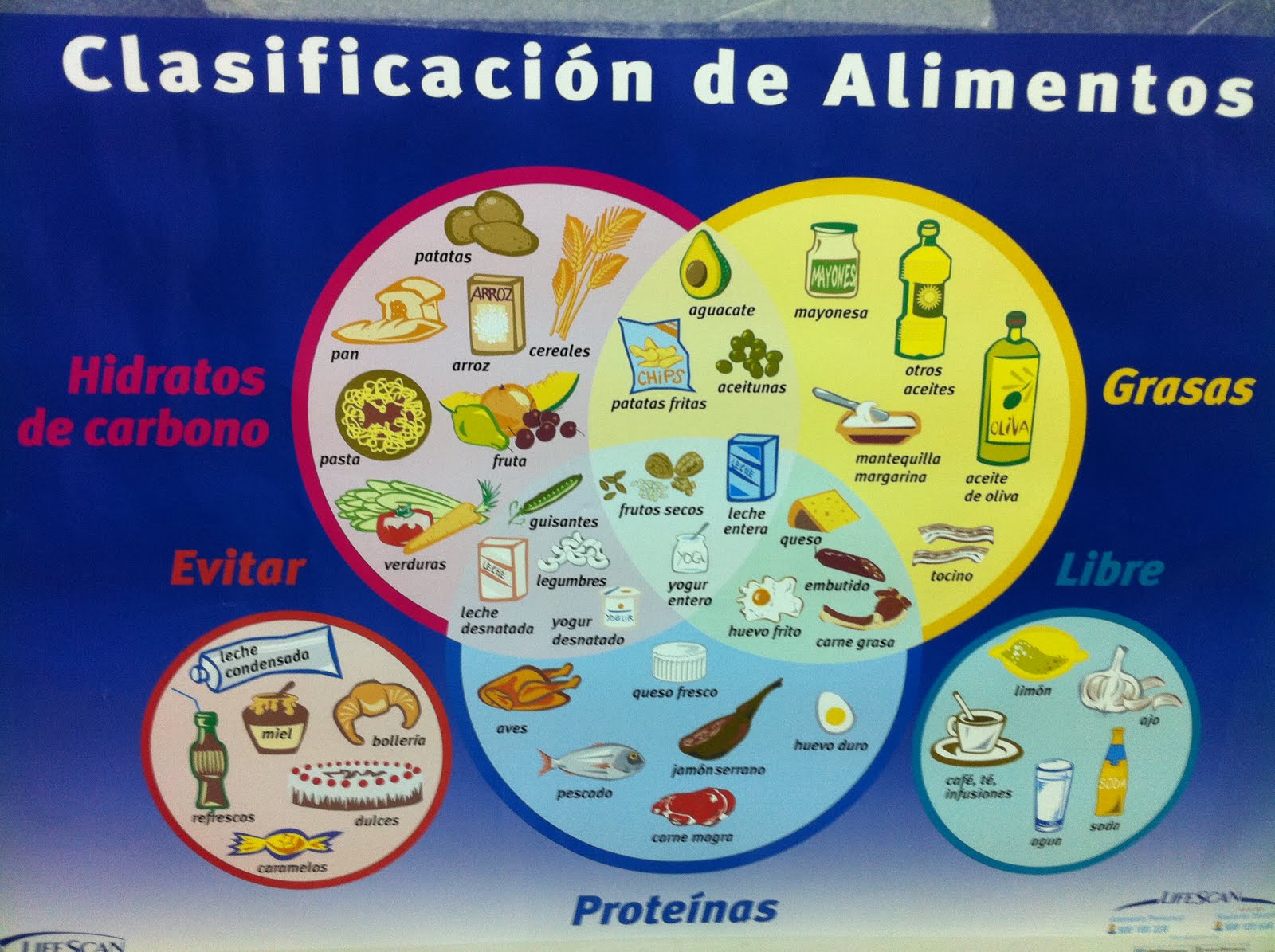 Mapa Conceptual Sobre La Clasificacion De Los Alimentos Sima Images