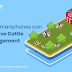 How Smartphones can Improve Cattle Management? 