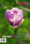 Haiku Pix Review