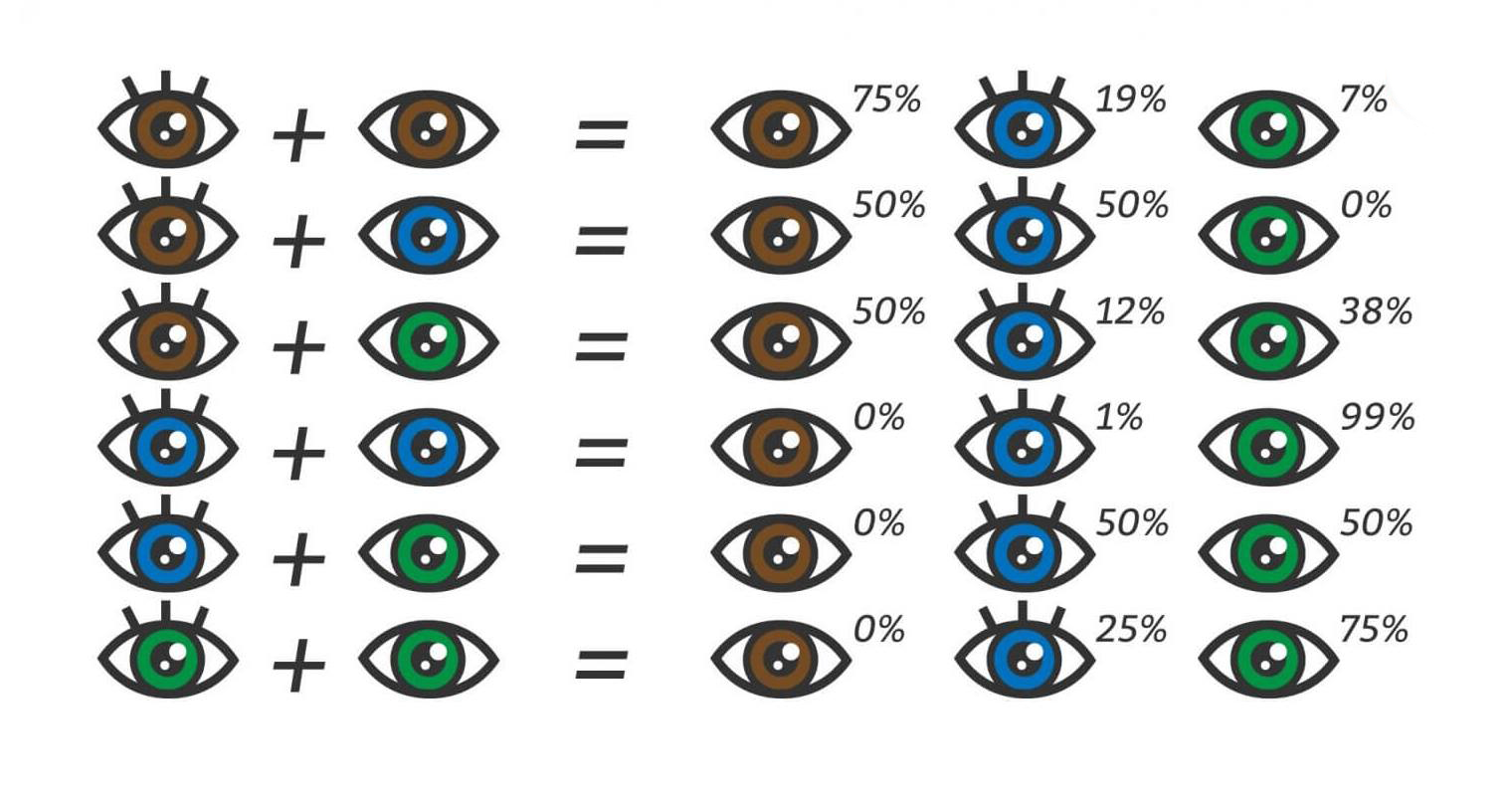 Может ли кареглазых родителей родиться голубоглазый ребенок. Таблица цвета глаз у ребенка. Цвет глаз генетика. Наследственность цвета глаз. Генетика цвет глаз наследование.