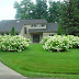 Landscape Ideas for Front Yard
