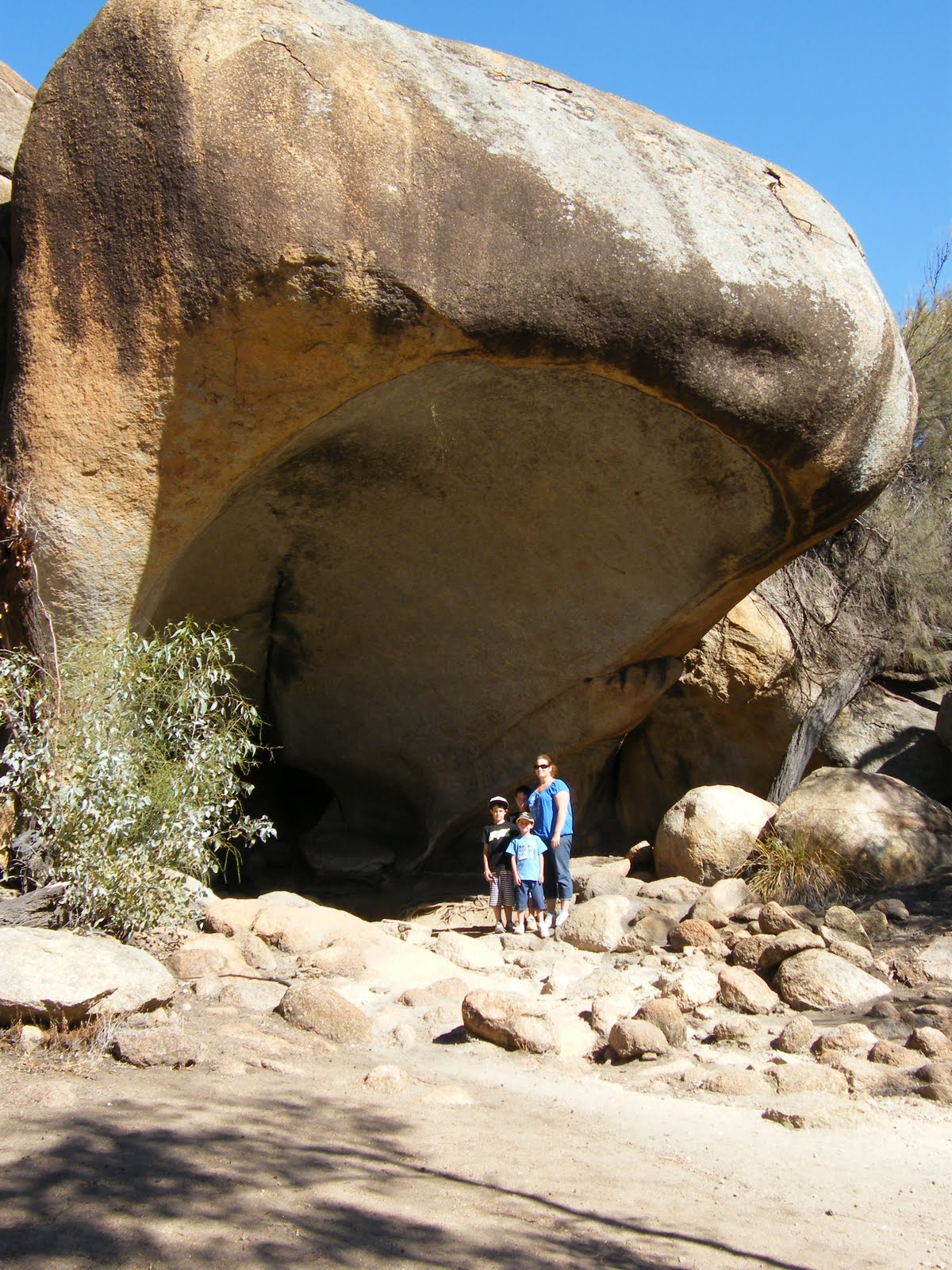 Muir's on the move: Wave rock