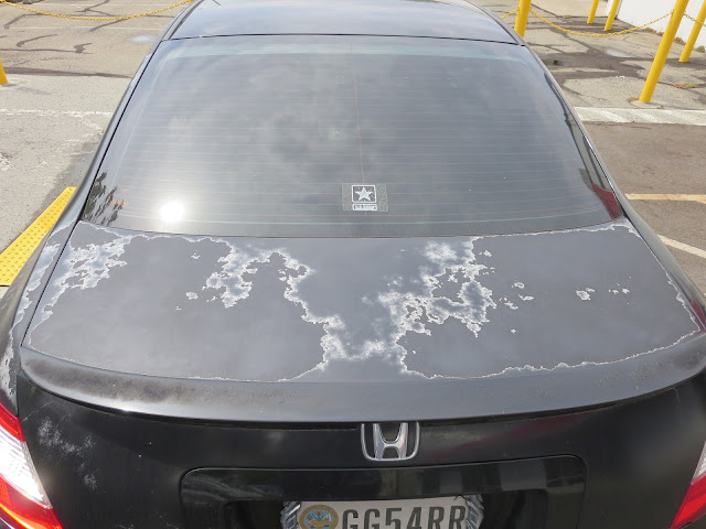 2008 Honda Civic Coupe with horrible case of sunburn (delaminating or peeling paint)
