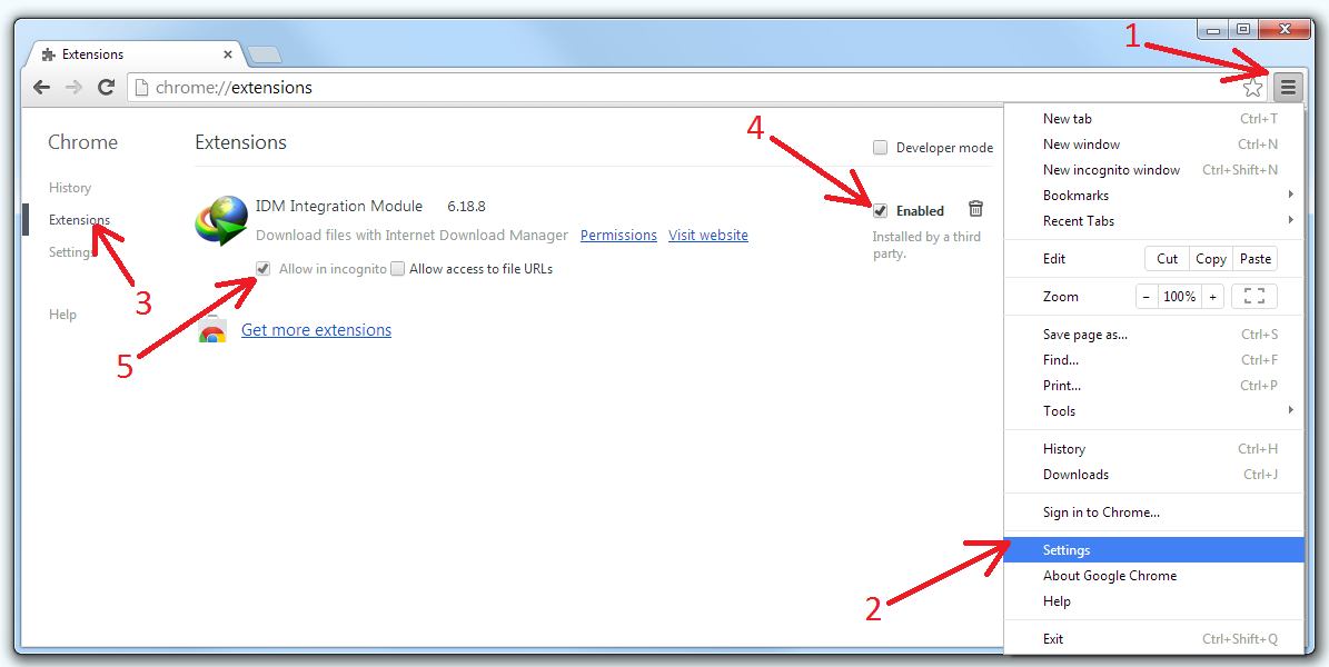 Google Chrome Extensions Download Manager