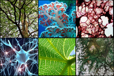 Mechanisms of the earth