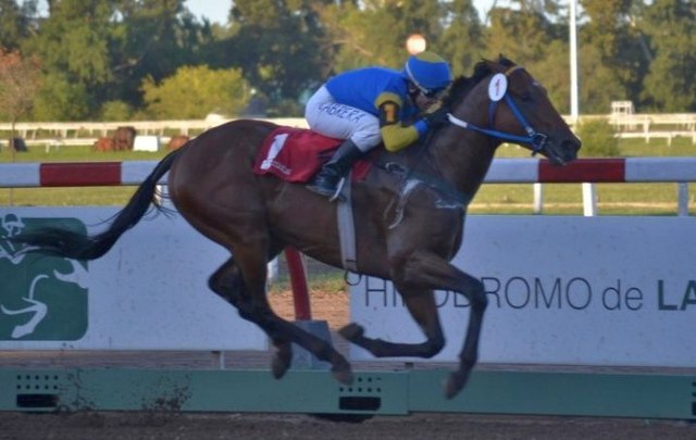 Che Micky corre hoy el Clásico San Martín en La Plata Che Micky Grand Reward La Plata