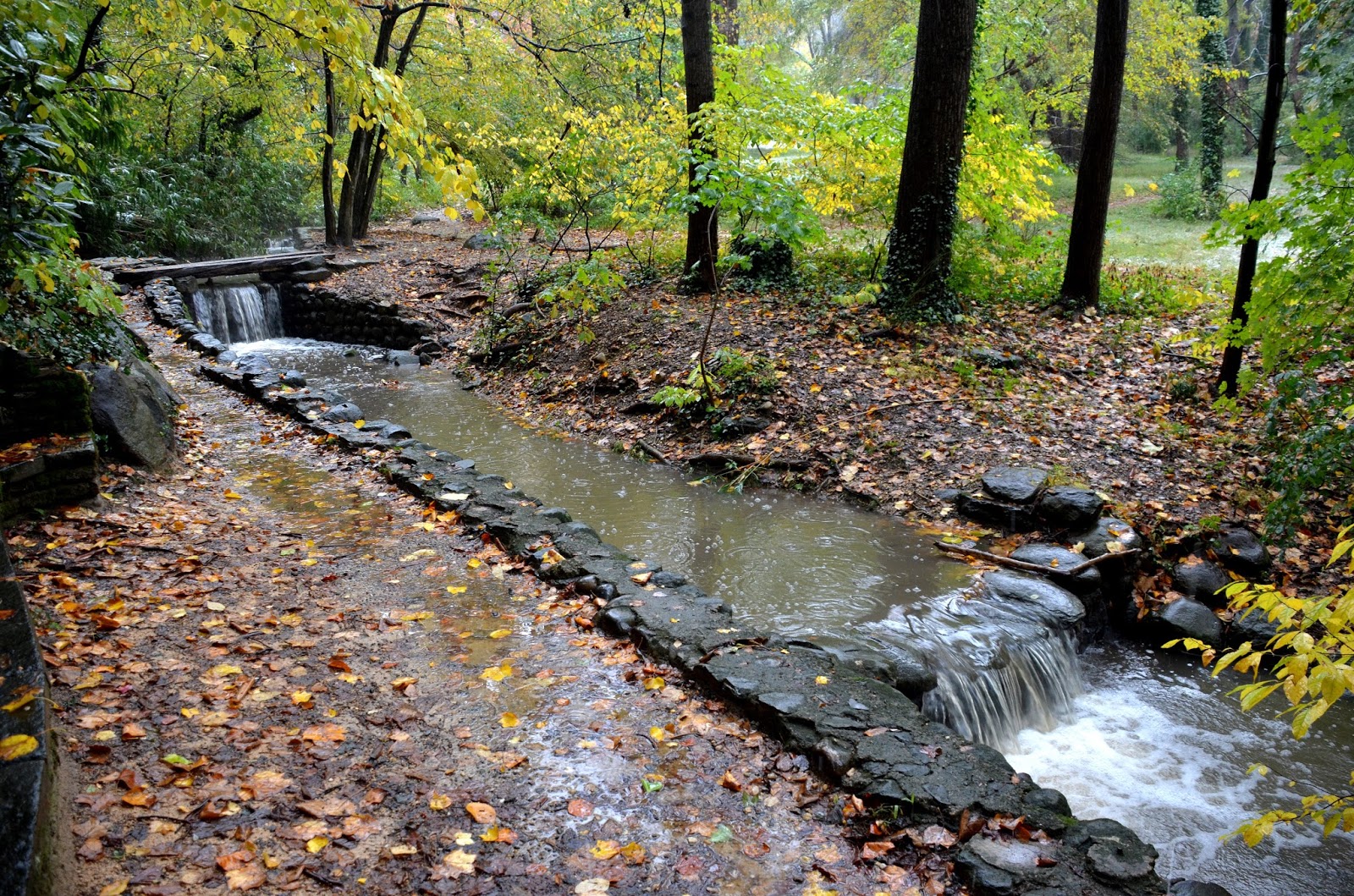 Rebuilding Place in the Urban Space Dumbarton Oaks Park 76th