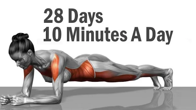 Best Body Weight Exercises That Will Change Your Body In 28 Days