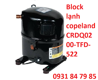 Hcm - công ty chuyên cung cấp máy nén lạnh copeland CRDQ0200-TFD-522 uy tín  - PHÚC AN KHANG