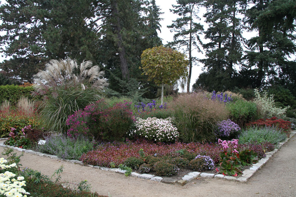 Olga's Garden Blog Karl Foerster garden and nursery in Potsdam