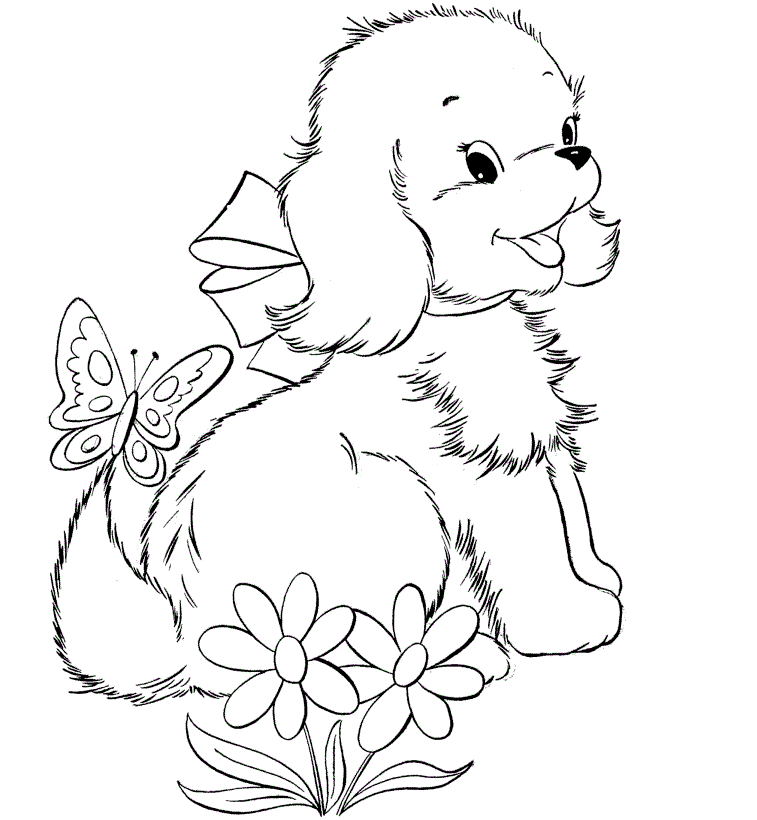 Beautiful cute puppies Colour Drawing HD Wallpaper