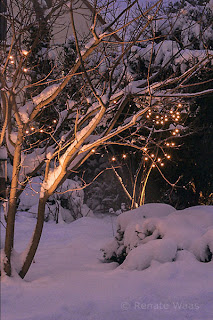 Gartenbeleuchtung verzaubert den verschneiten Garten am Abend