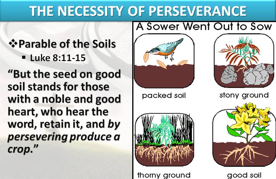 shadow-in-the-son-message-the-parable-of-the-sower-by-randall-nelsen