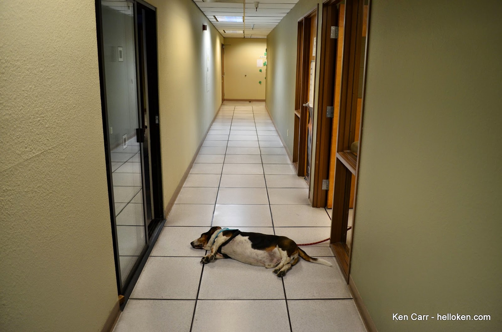 A hot dog in a hallway