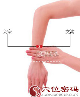 支溝穴位 | 支溝穴痛位置 - 穴道按摩經絡圖解 | Source:xueweitu.iiyun.com