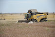 New Holland CX 780 Combine. Poppy & Opium