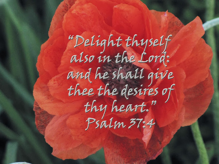 Red Poppy - Psalm 37:4