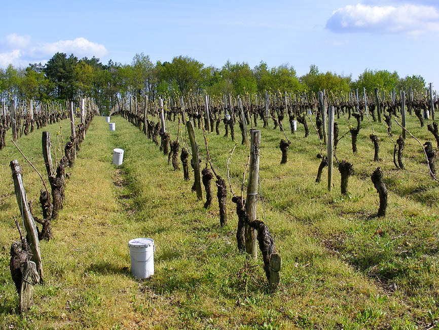 Days on the Claise Frost Candles at the Ready