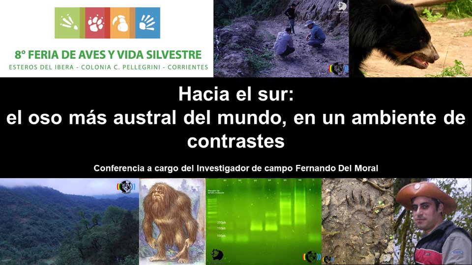 El Juco estuvo presente en la 8º Feria de Aves y Vida Silvestre, en los Esteros del Iberá, Corrientes El Juco estuvo presente en la 8º Feria de Aves y Vida Silvestre, en los Esteros del Iberá, Corrientes